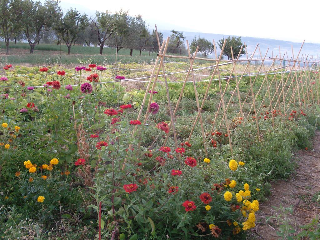 Agriturismo Papageno Rignano sullʼArno Zewnętrze zdjęcie