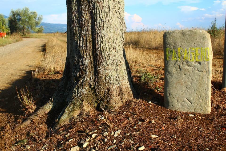 Agriturismo Papageno Rignano sullʼArno Zewnętrze zdjęcie