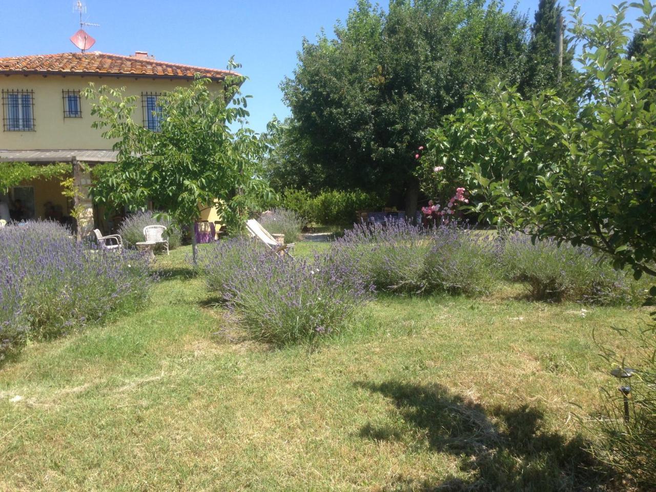 Agriturismo Papageno Rignano sullʼArno Zewnętrze zdjęcie